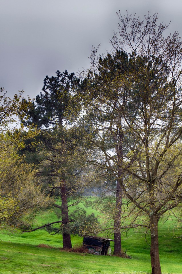 8615335218_01a3da065d_k